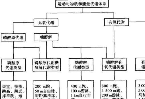 这可是技术活：减脂和减重(图4)