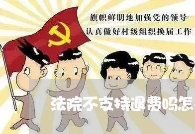 法院不支持退费吗怎么办(图2)