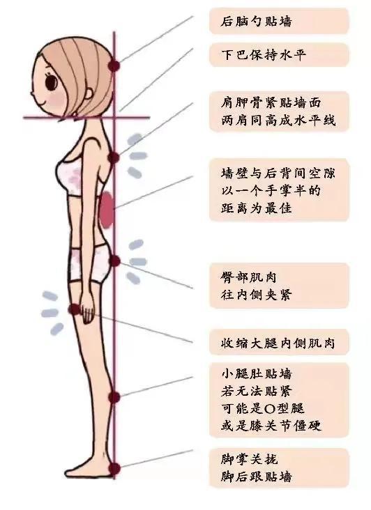 女人变美不难懂“健身瘦”和“饿瘦”区别在哪对比图给你答案(图14)