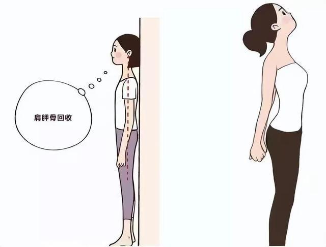 女人变美不难懂“健身瘦”和“饿瘦”区别在哪对比图给你答案(图15)